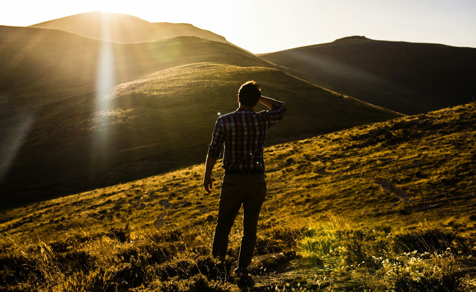 saeed-mhmdi-azbZUNpu1Ag-unsplash